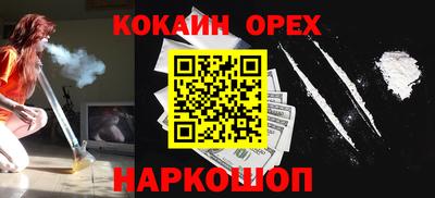 стаф Дубна