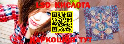 стаф Дубна