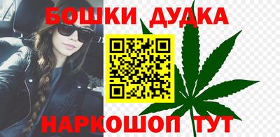 стаф Дубна