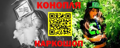 стаф Дубна